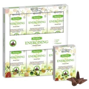 Aromatherapy Backflow Cones